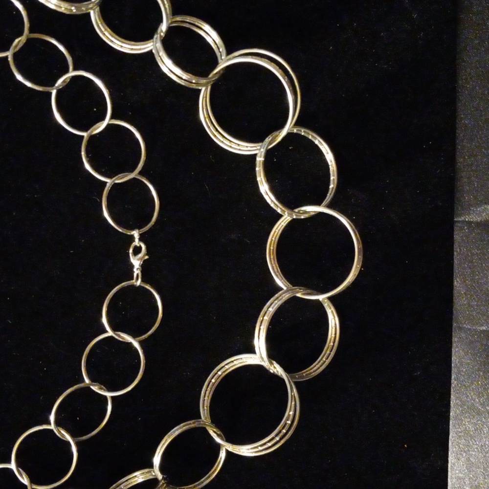 Circle Link necklace.